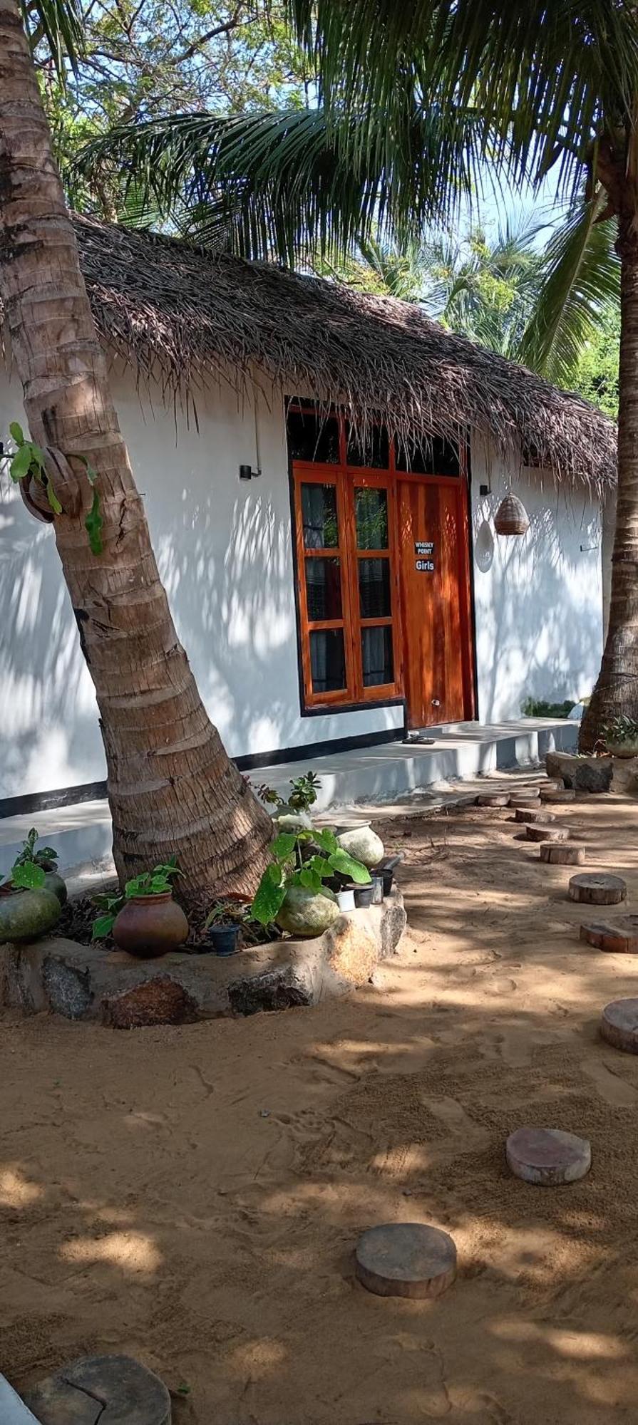 Surfing Lion Hostel Arugam Bay Eksteriør billede