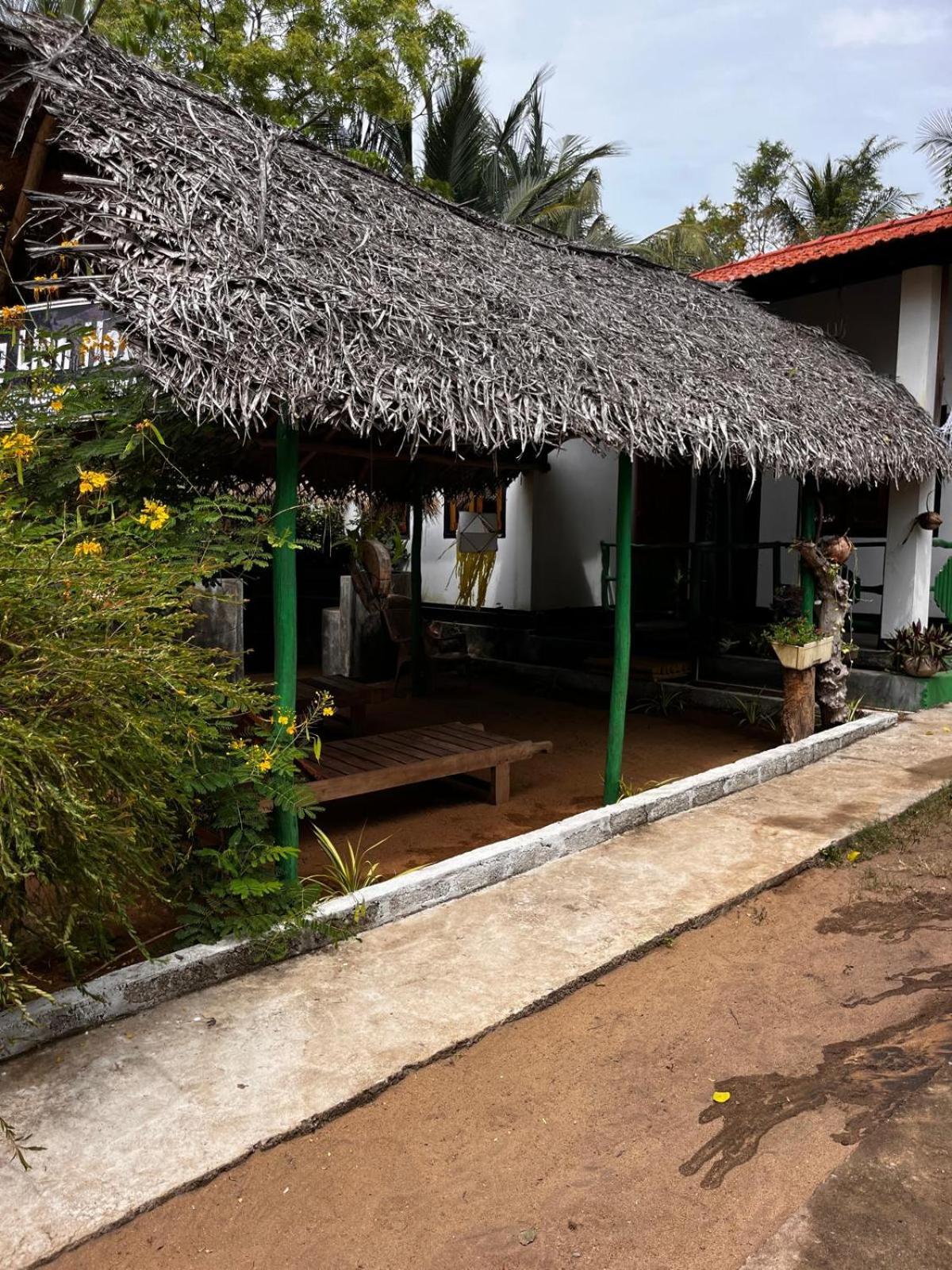 Surfing Lion Hostel Arugam Bay Eksteriør billede