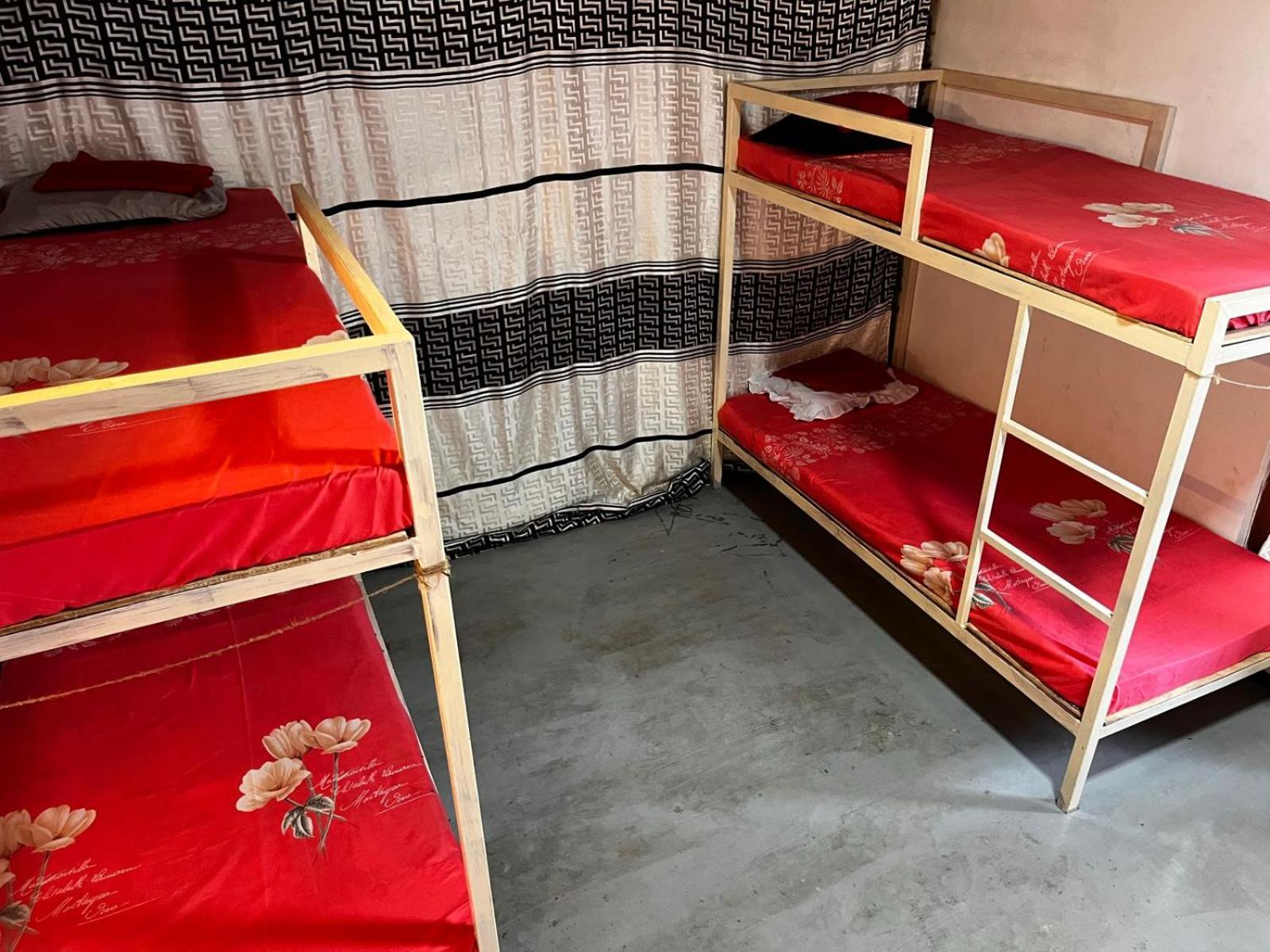 Surfing Lion Hostel Arugam Bay Eksteriør billede