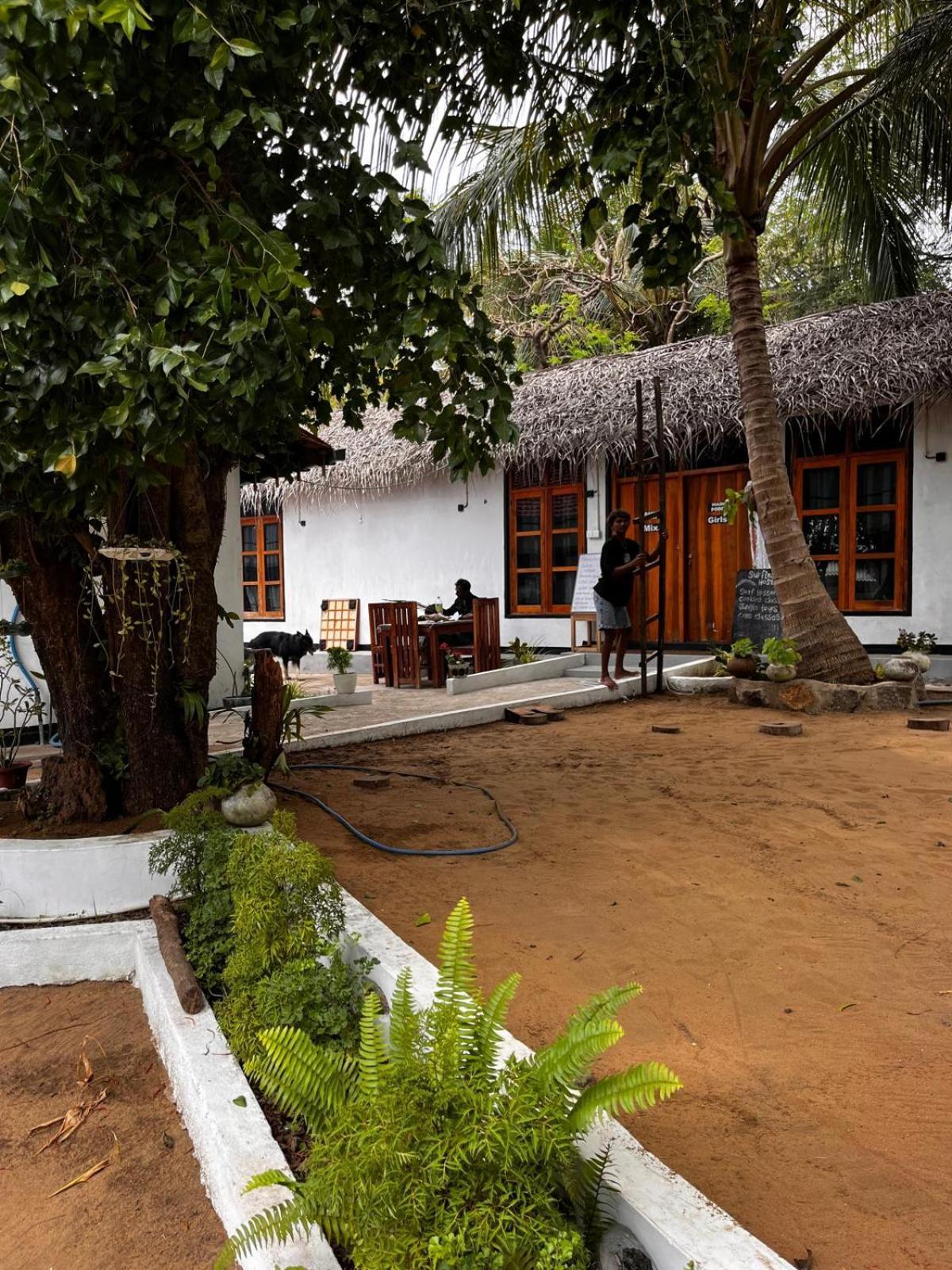 Surfing Lion Hostel Arugam Bay Eksteriør billede