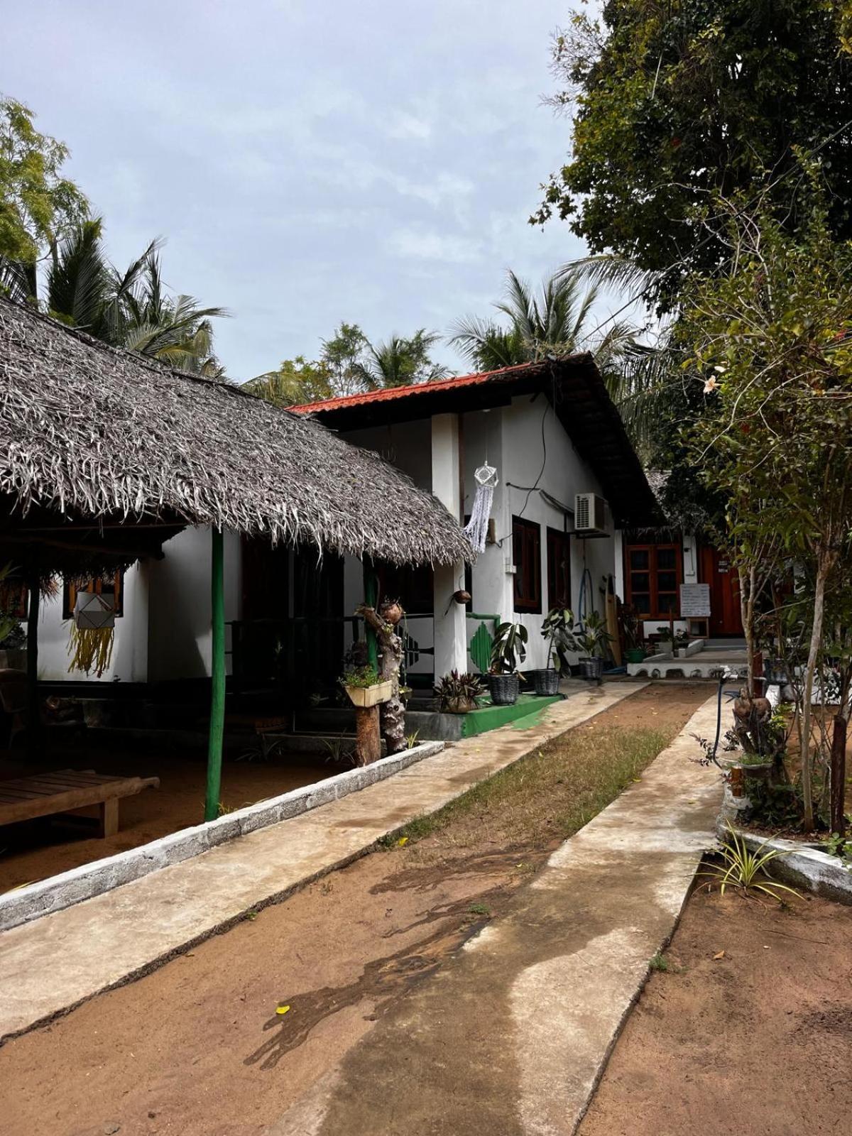 Surfing Lion Hostel Arugam Bay Eksteriør billede